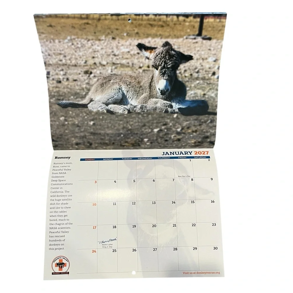 2026 Wall Calendar Babies Born To Bray Peaceful Valley Donkey Rescue 13 Month
